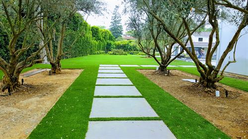 Walkway Turf