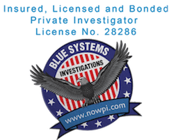 Blue Systems International