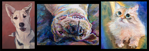 pet portraits sampler