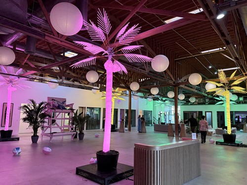 Lighted Palm Trees and Event Rentals. 