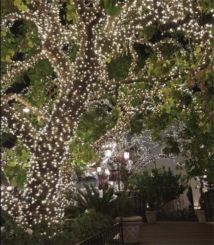 Trusted by Westside luxury homeowners and enterprise brands alike. We bring white-glove care, top-tier LED hardware, and commercial safety standards to every Santa Monica project. See our portfolio and request a quote at lightsuptoday.com!