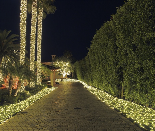 Nothing captures Westside coastal living like expertly wrapped palm trees glowing against the ocean breeze. We specialize in high-canopy palm wraps and architectural tree highlights for luxury properties across Santa Monica and Pacific Palisades. Schedule your design consultation at lightsuptoday.com! ????