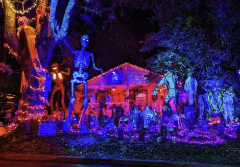Turn heads and boost autumn foot traffic for your Santa Monica storefront, venue, or restaurant! Custom commercial-grade Halloween lighting—in striking purples, greens, and oranges—creates an irresistible seasonal atmosphere for guests. Complete leasing packages include priority 24-hour maintenance dispatch. Get a commercial quote today at lightsuptoday.com! ????