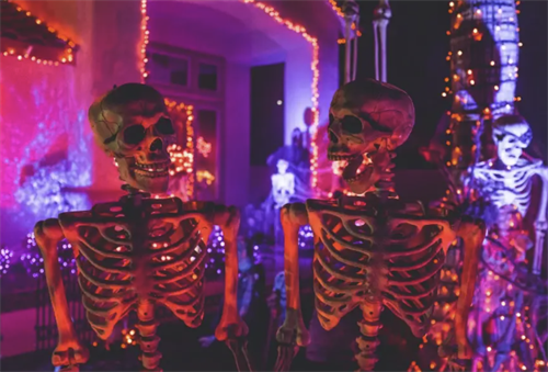 Why wait until November to light up your property? Kick off the season early with a custom Halloween setup, then let our team seamlessly swap your color palette for Christmas and winter holiday decor! Enjoy all-inclusive LED leasing, zero ladder-climbing, and total storage relief. Book your seasonal transition at lightsuptoday.com or call (310) 356-9577! ??????