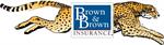 Brown & Brown Insurance of SC, Inc.