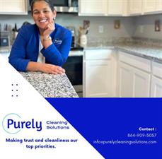 Purely Cleaning Solutions