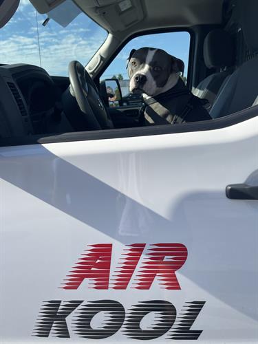 Gallery Image Ollie_air_kool_van.jpg