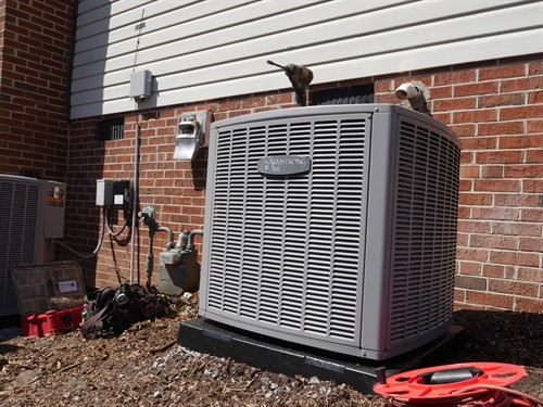 Gallery Image P1010129.JPG