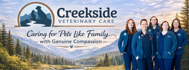 Creekside Veterinary Care