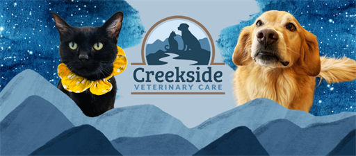 Creekside Veterinary Care