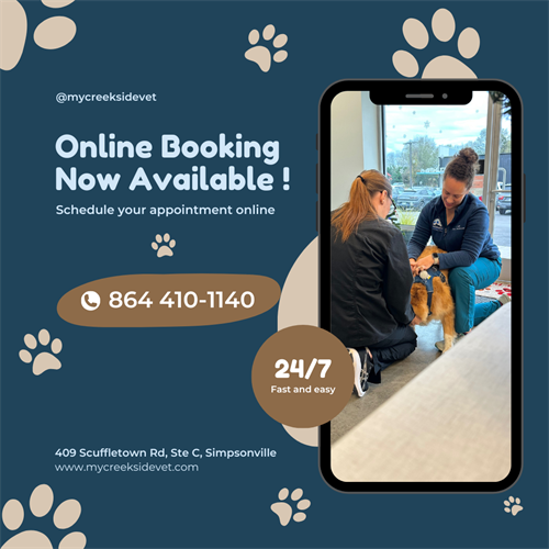 Book your appointment today!