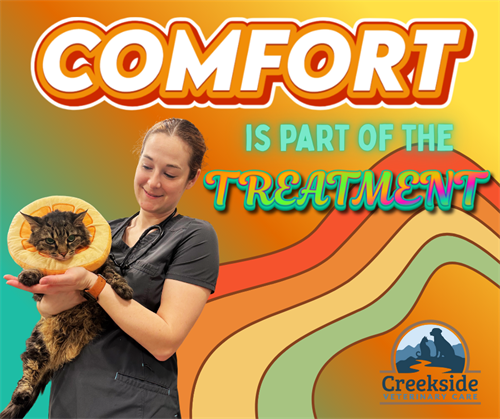 Gallery Image Colorful_Rainbow_Polka_Dot_Be_Kind_Poster_(Facebook_Post)_(1).png