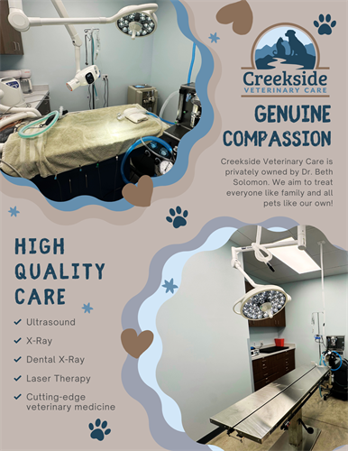 Welcome to Creekside Veterinary Care!