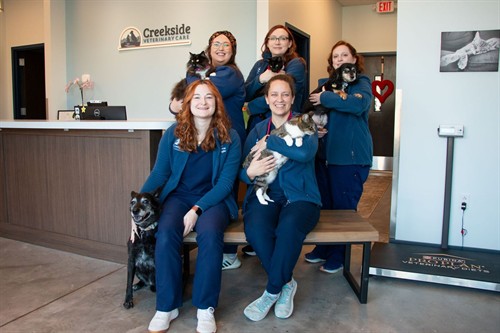 Gallery Image Gss3XZ_g.jpeg