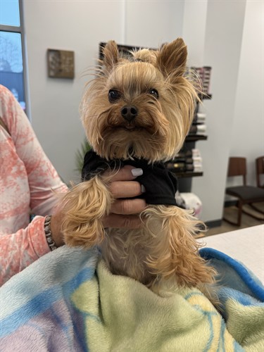 Such a little cutie!