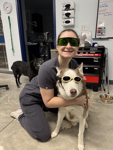 Jenni & Titus doing laser therapy