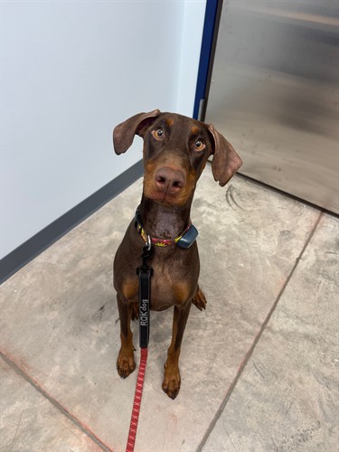 Gallery Image IMG_6852.jpeg