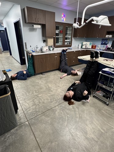 Our team doing yoga after a long day of saving animals!