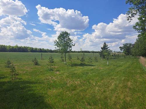 Private, peaceful 45 Acres