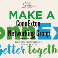 Connexton Member Only Networking Group
