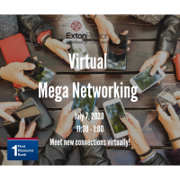 August 4,2020 Virtual Networking Lunch