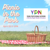 Young Professionals Network: Picnic in the Park