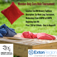 Member-Only Corn Hole Tournament at Iron Hill Brewery TapHouse 