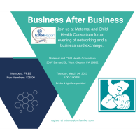 March 14, 2023-Business After Business Networking Maternal & Child Health Consortium