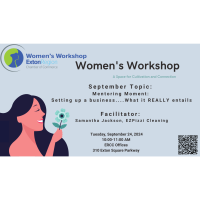 Women's Workshop: Mentoring Moment: Setting up a business....What it REALLY entails