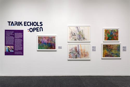 Photo by Cheri Eisenberg of the exhibition "Tarik Echols: Open"