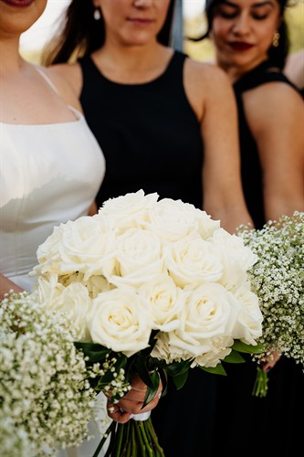 Gallery Image CandT-274_websize.jpg