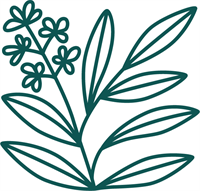 Sage Therapy