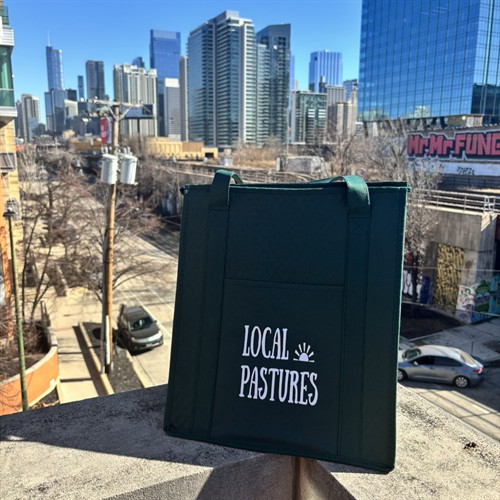 Gallery Image IMG_9759.JPEG