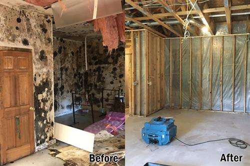 Mold Remediation - Before & After
