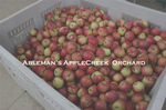 Ableman's  Apple Creek Orchard