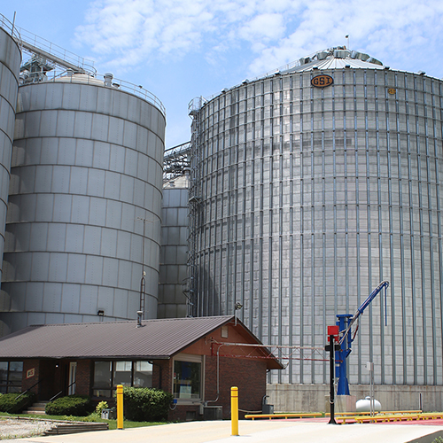 Grain Harvesting & Marketing