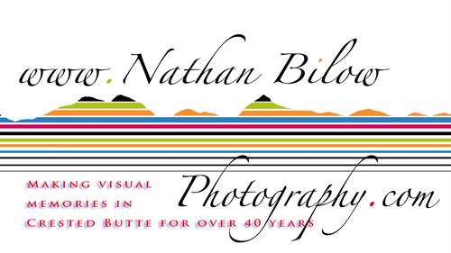 Gallery Image NBP_Logo_COLOR-MM.jpg