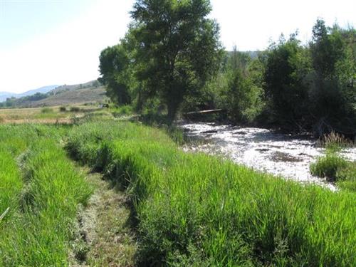 TBD County Road 76 Gunnison, CO 81230 - 14 Acres with Private Fishing Rights