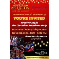 Wonderland of Lights VIP Member Preview!