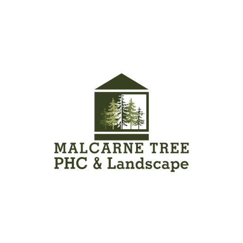 Gallery Image Logo_Malcarne_Tree7_greens.png