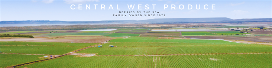Central West Produce