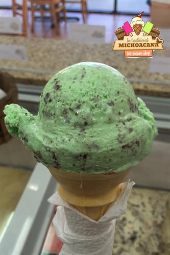Mint and chip Ice Cream