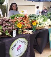 Third Annual Santa Barbara County Farm Day – Know The Essential Hands That Feed You