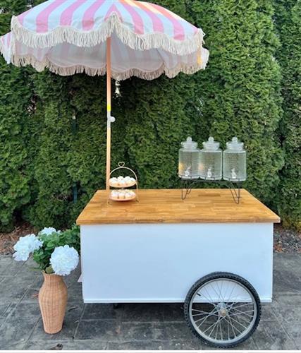 Mobile party cart with solid top