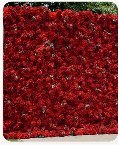 Red flower wall