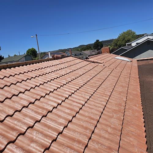 Gallery Image Mayas_tile.jpg