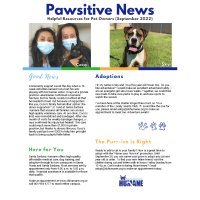 Pawsitive News Helpful Resources for Pet Owners (September 2022)