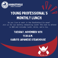 Young Professionals Lunch