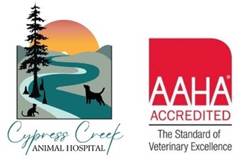 Cypress Creek Animal Hospital