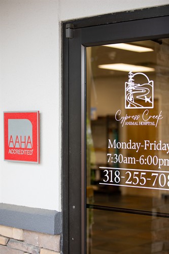 Gallery Image aaha.jpg